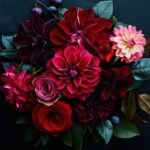 DÓNDE COMPRAR FLORES EN BERNAL