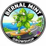 Bernal Mint Grow Shop